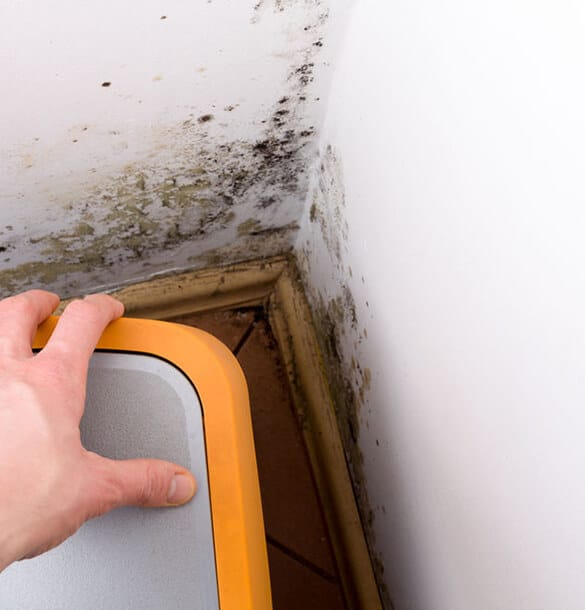 Testing Air Quality After Mold Remediation