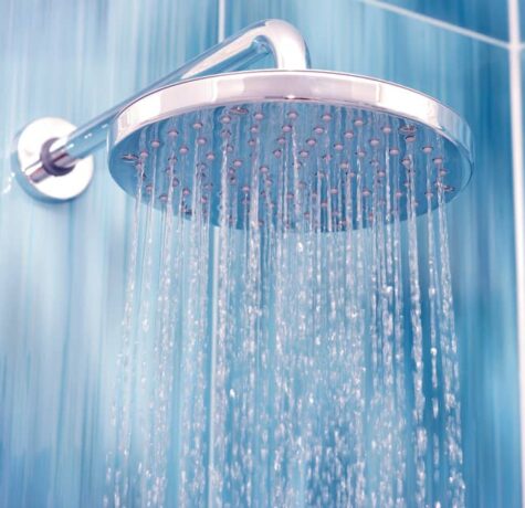 Troubleshoot your shower to find out why it is squealing.