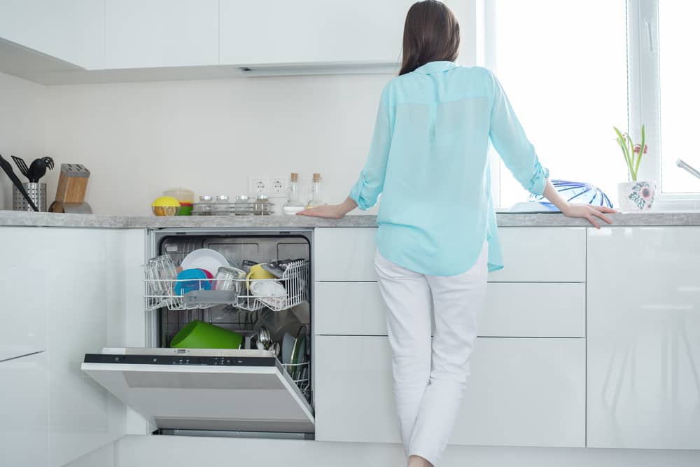 Issues with the dishwasher and time to do a reset.