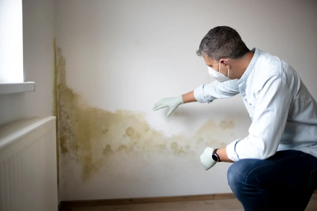 Cleaning mold off walls with a mask is recommended. 