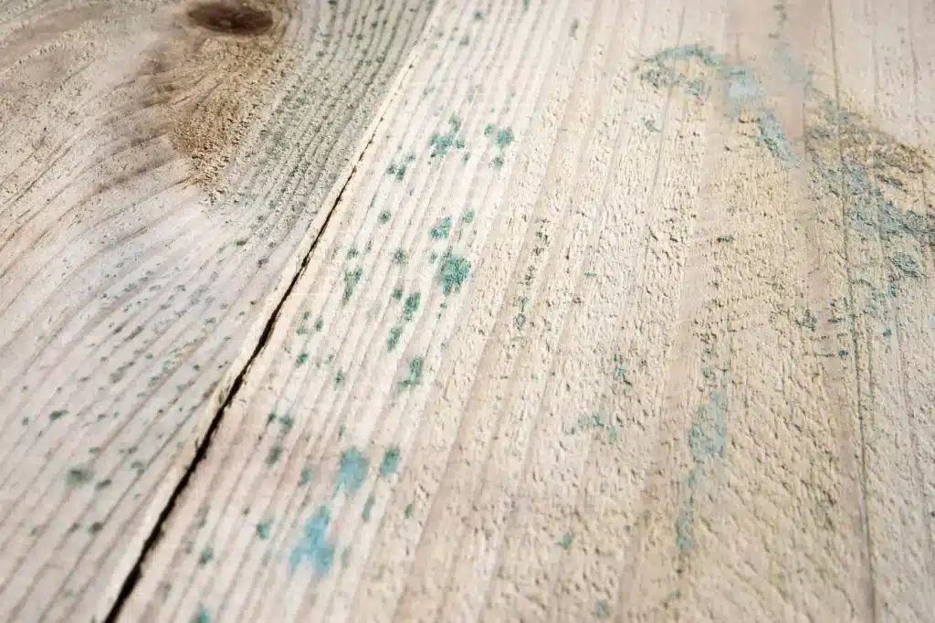 Mold grows on wood when there is too much moisture.  