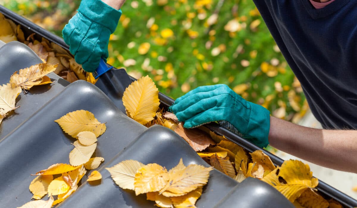 Gutter Cleaning