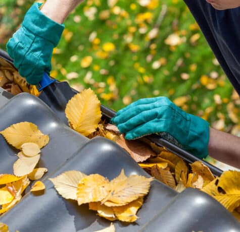 Gutter Cleaning